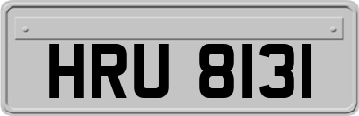 HRU8131