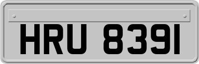 HRU8391