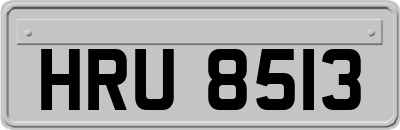 HRU8513