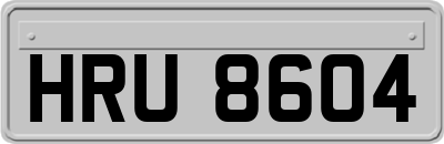 HRU8604