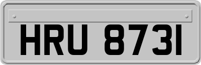 HRU8731