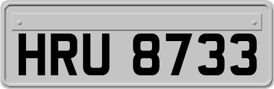 HRU8733