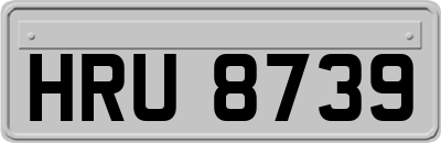 HRU8739
