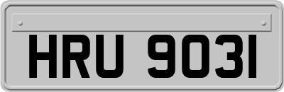 HRU9031