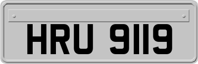HRU9119