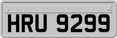 HRU9299