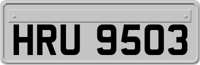 HRU9503
