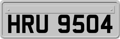 HRU9504