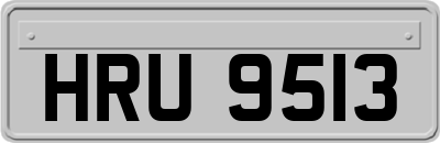 HRU9513