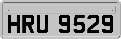 HRU9529