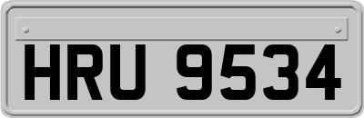 HRU9534