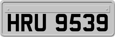 HRU9539