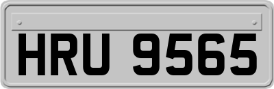 HRU9565