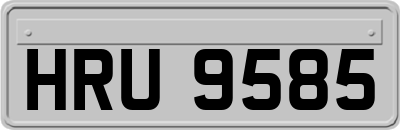 HRU9585