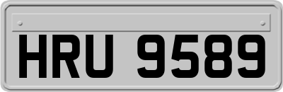 HRU9589