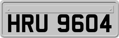 HRU9604