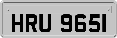 HRU9651