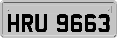 HRU9663