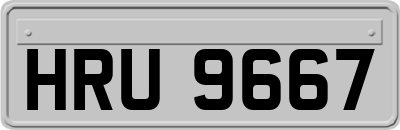 HRU9667