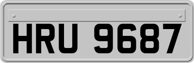 HRU9687