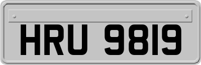 HRU9819