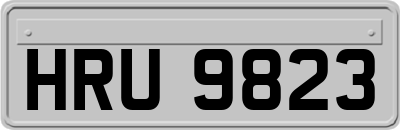 HRU9823