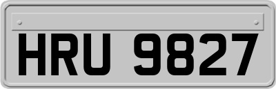 HRU9827