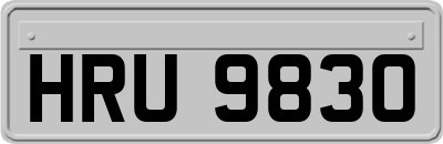 HRU9830