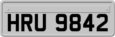 HRU9842