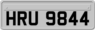 HRU9844