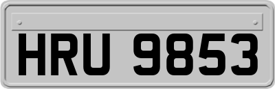 HRU9853