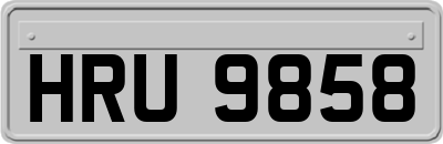 HRU9858