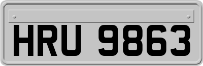 HRU9863