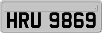 HRU9869