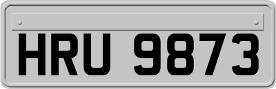 HRU9873