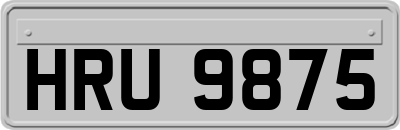 HRU9875