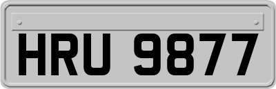 HRU9877