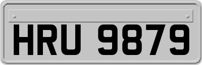 HRU9879