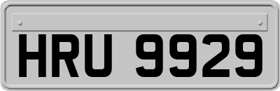 HRU9929