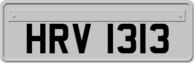 HRV1313