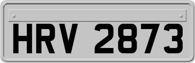 HRV2873