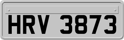 HRV3873