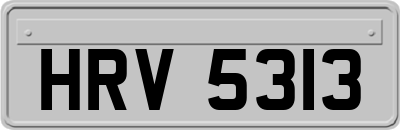 HRV5313