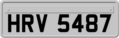 HRV5487