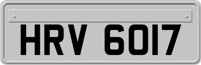 HRV6017