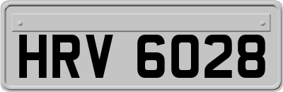 HRV6028