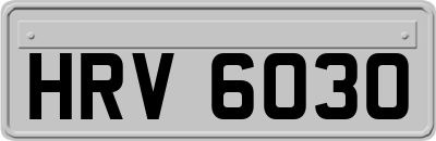 HRV6030
