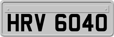 HRV6040