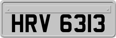 HRV6313