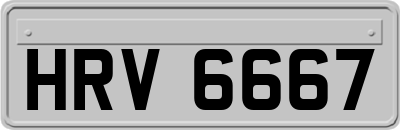 HRV6667